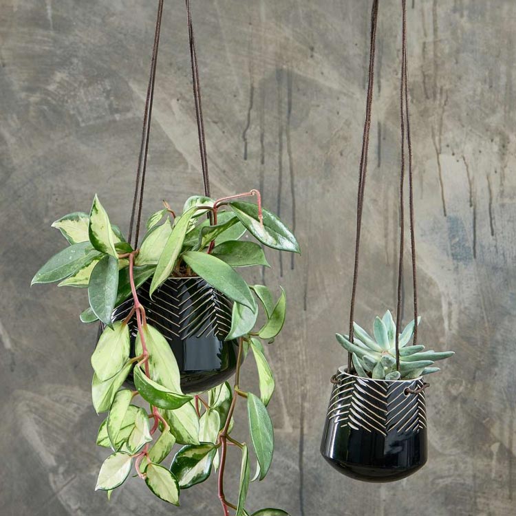 Kavari Black Hanging Planter